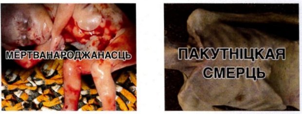 sigarety_kartinki_003