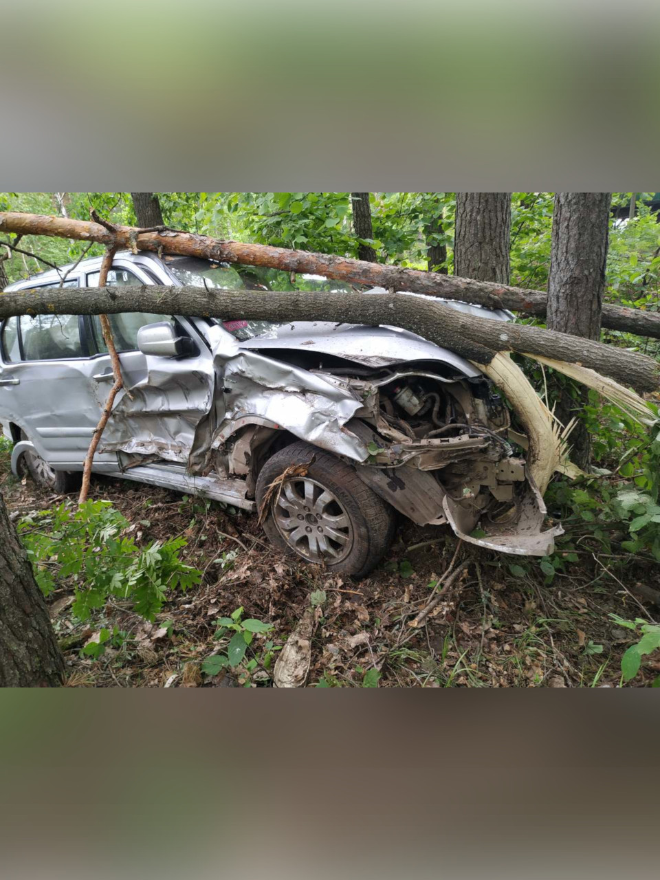 Фото: ОГАИ Речицкого РОВД