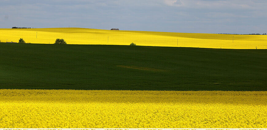 Дожди, грозы и до +26 °С. Какой будет погода 22 мая