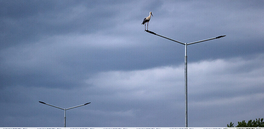 Дожди, грозы и порывистый ветер. Какой будет погода 30 мая