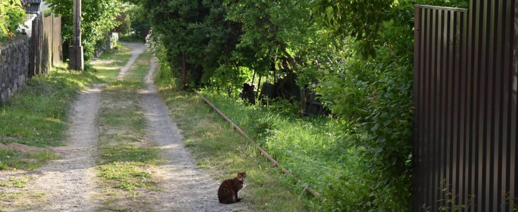 Регистрация земельных участков упрощена в Беларуси
