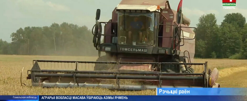 По традиции жатву начали с «Зажинок». Аграрии области массово убирают озимый ячмень