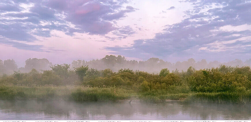 До +28 °С, местами грозы и туманы. Какой будет погода в Беларуси 5 августа