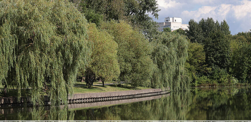 До +29 °С и в основном без осадков. Какой будет погода в первый день осени