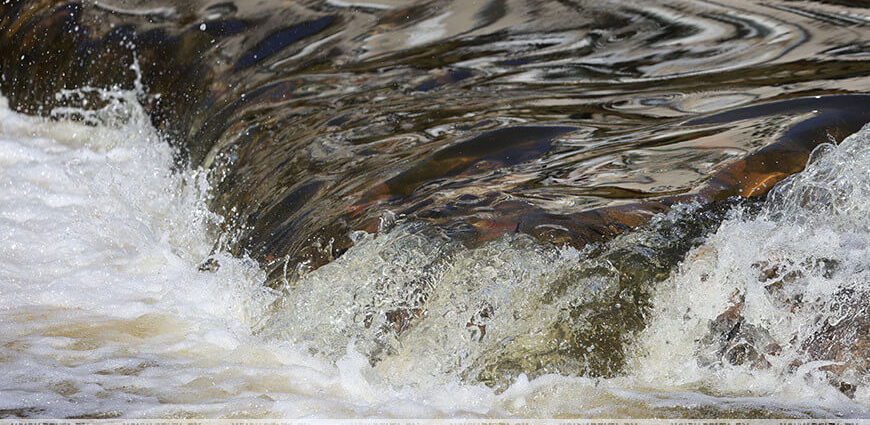 Мужчина утонул в Днепре в Речицком районе