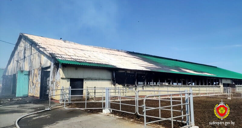 Гомельские эксперты установили причину пожара на ферме в Речицком районе