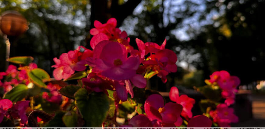 Переменная облачность, местами грозы: какой будет погода в Беларуси 11 сентября