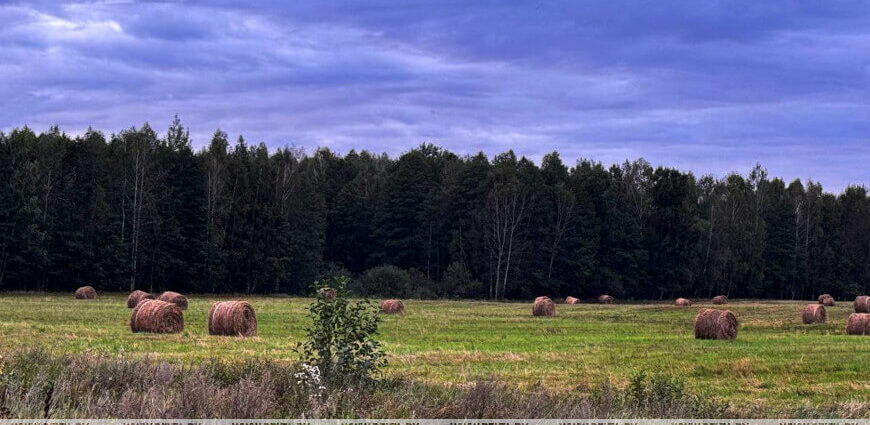 Дожди и порывистый ветер. Какой будет погода в Беларуси 17 сентября
