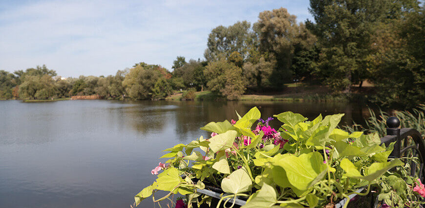 До +20 °С и кратковременные дожди ожидаются в Беларуси 18 сентября