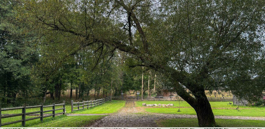 Дожди, возможны грозы. Какой будет погода в Беларуси 23 сентября