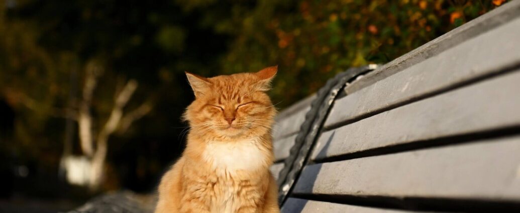 Астрономическая осень начинается: сегодня — День осеннего равноденствия