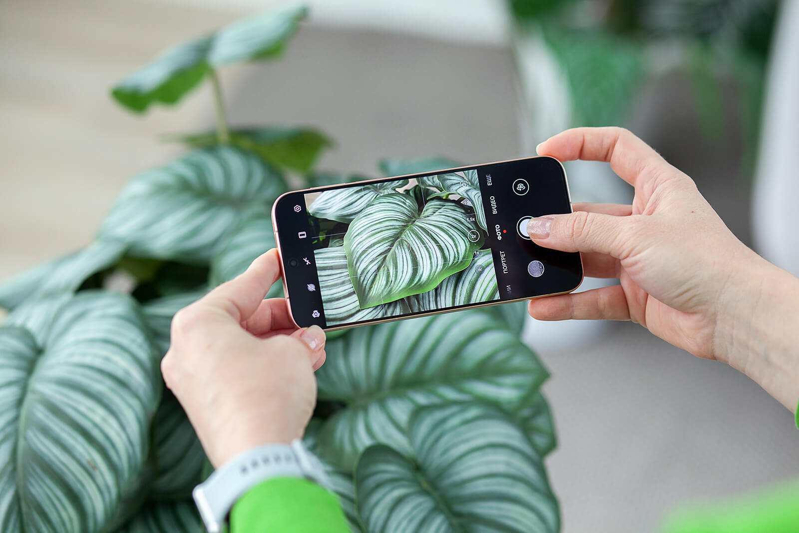 Huawei Pura 80