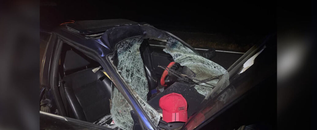 В Речицком районе в результате наезда на животное пострадал пассажир