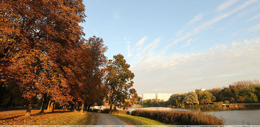 Небольшие дожди и туман. Какой будет погода в Беларуси 9 октября