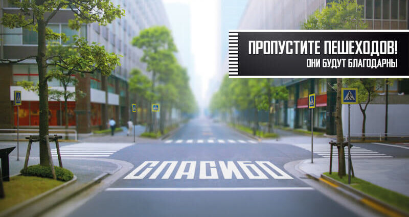 «Уступи дорогу пешеходу!»