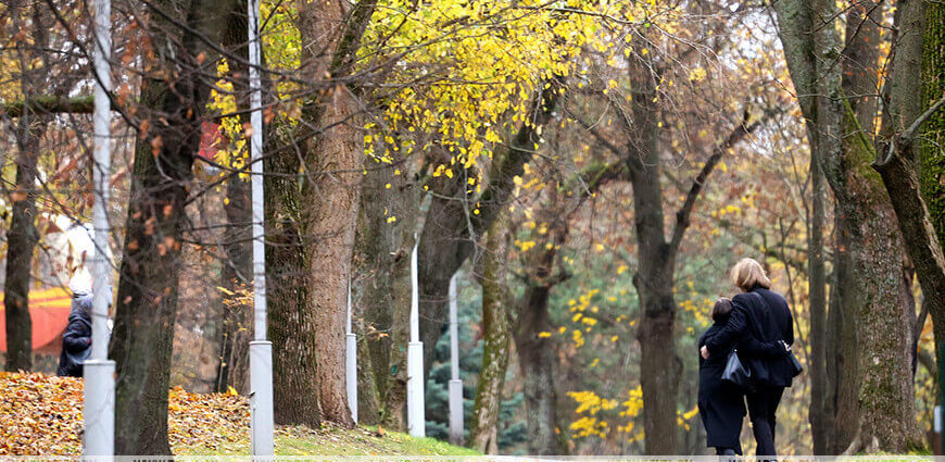 Облачно с прояснениями и до +12 °С. Какой будет погода в Беларуси 6 ноября