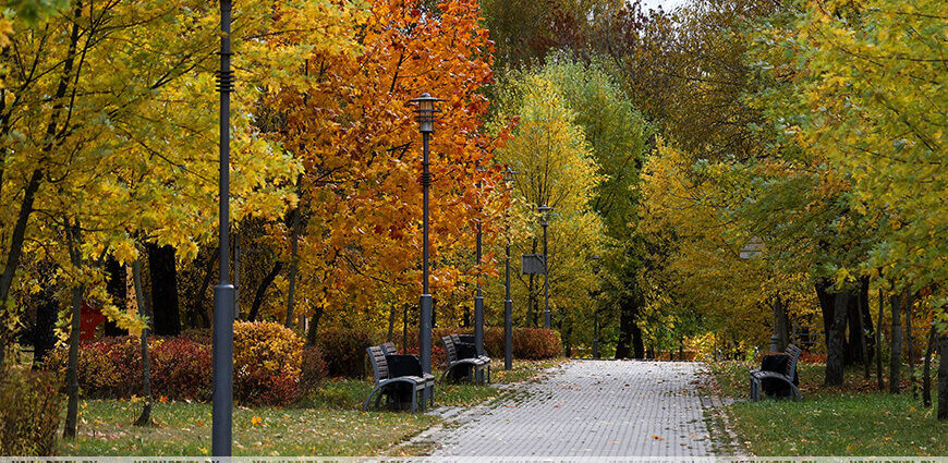 Временами небольшие дожди и туман. Какую погоду обещают синоптики на 10 ноября