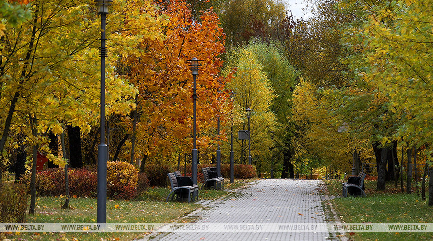 Временами небольшие дожди и туман. Какую погоду обещают синоптики на 10 ноября