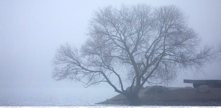 Ночные заморозки, дождь и мокрый снег ожидаются в Беларуси 16 ноября