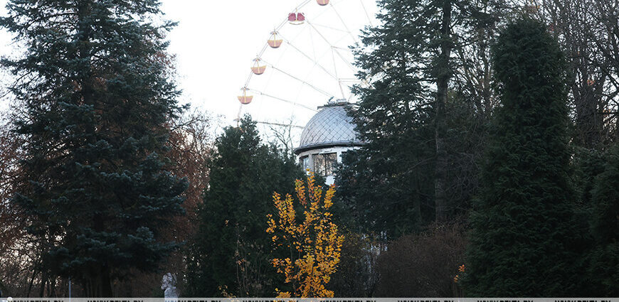 По северо-западу — осадки, днем — до +5 °С. Синоптики рассказали о погоде 19 ноября