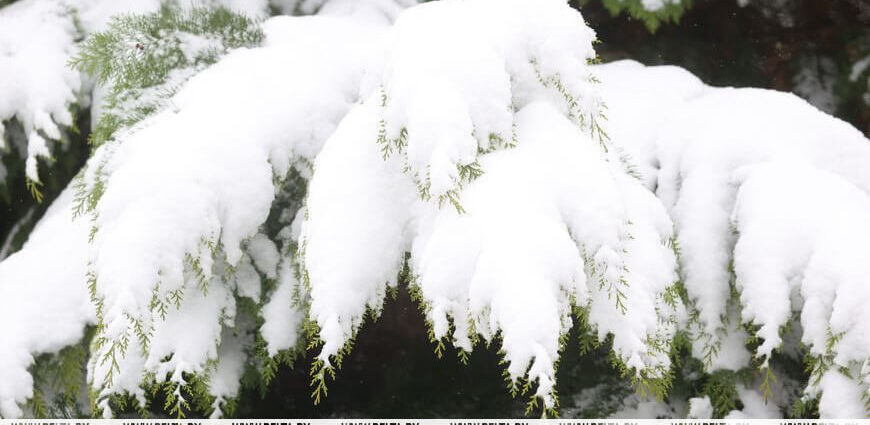 Гололед и слабые туманы. Чего ждать от погоды в Беларуси на последней неделе ноября