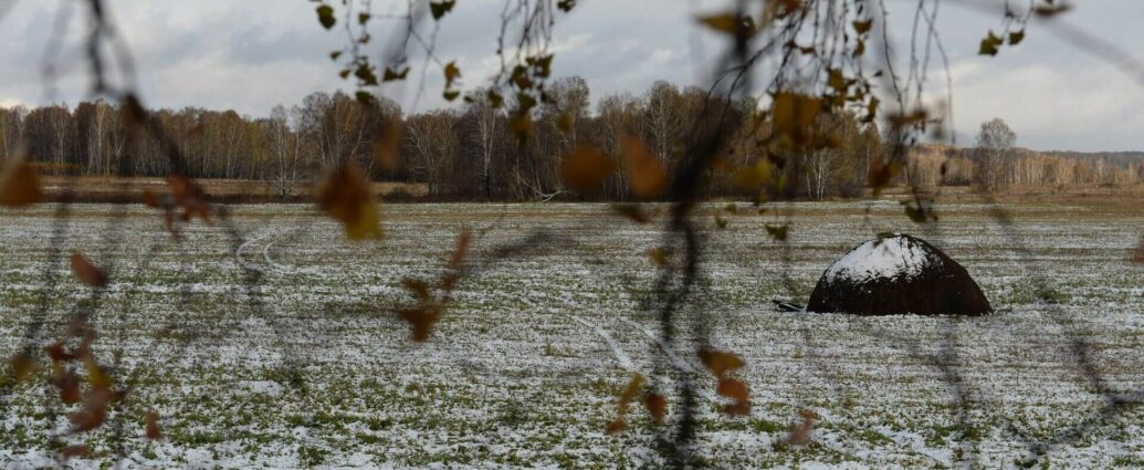Теплая осень завершилась: синоптик рассказал о погоде на неделю
