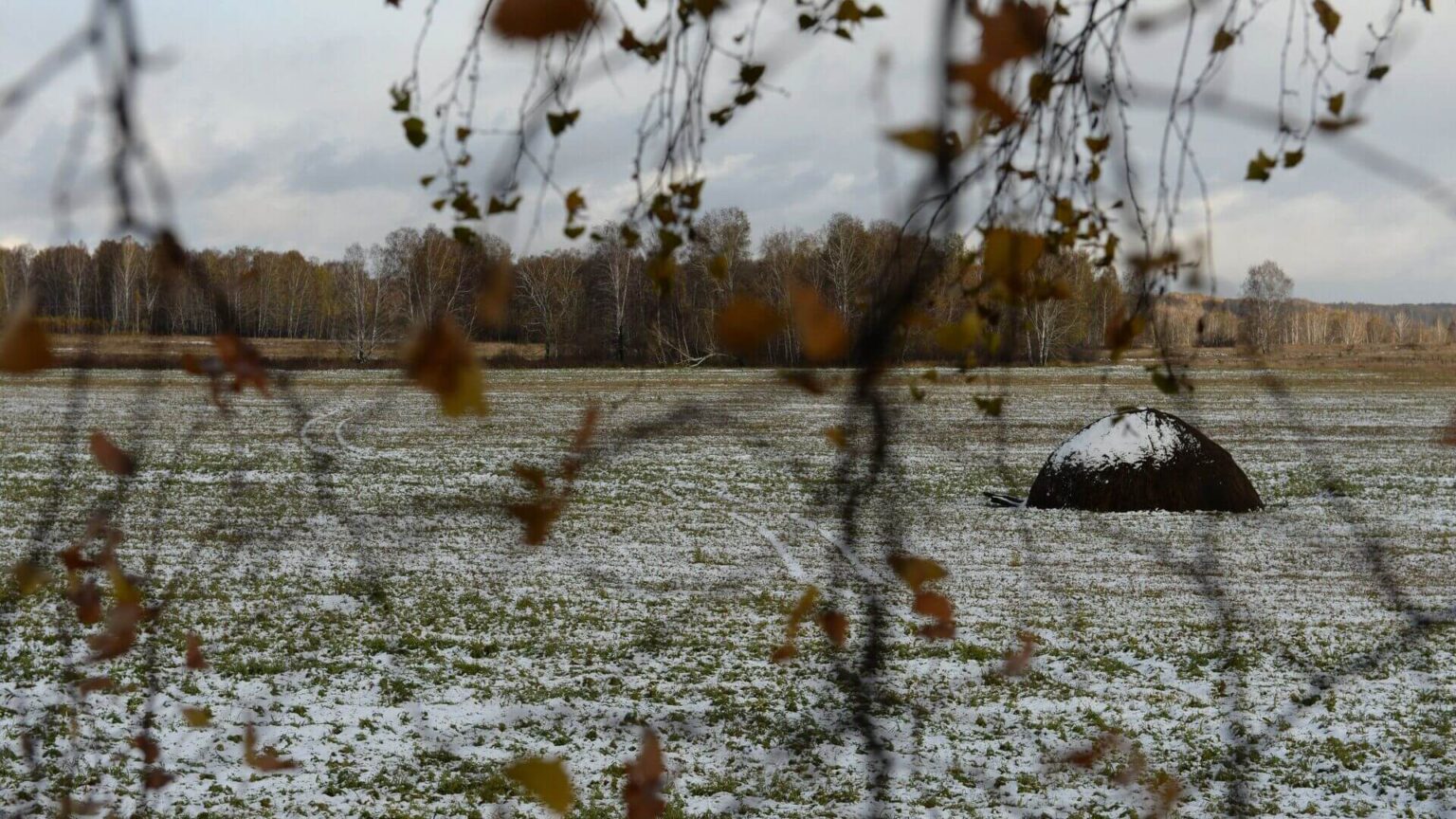 Теплая осень завершилась: синоптик рассказал о погоде на неделю