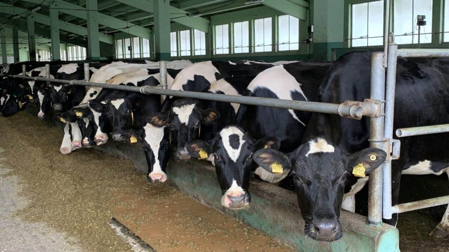 Белстат: средняя зарплата в сельском хозяйстве за год выросла на 22%