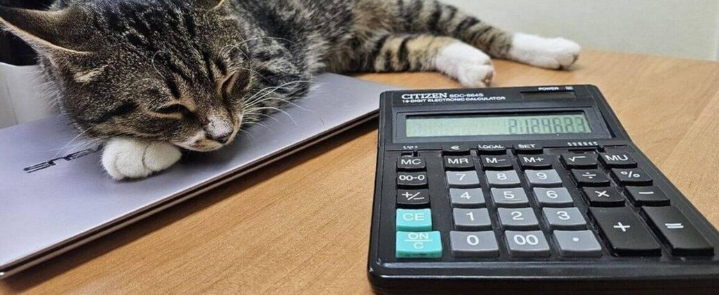 В МНС напомнили о сроках уплаты единого имущественного платежа