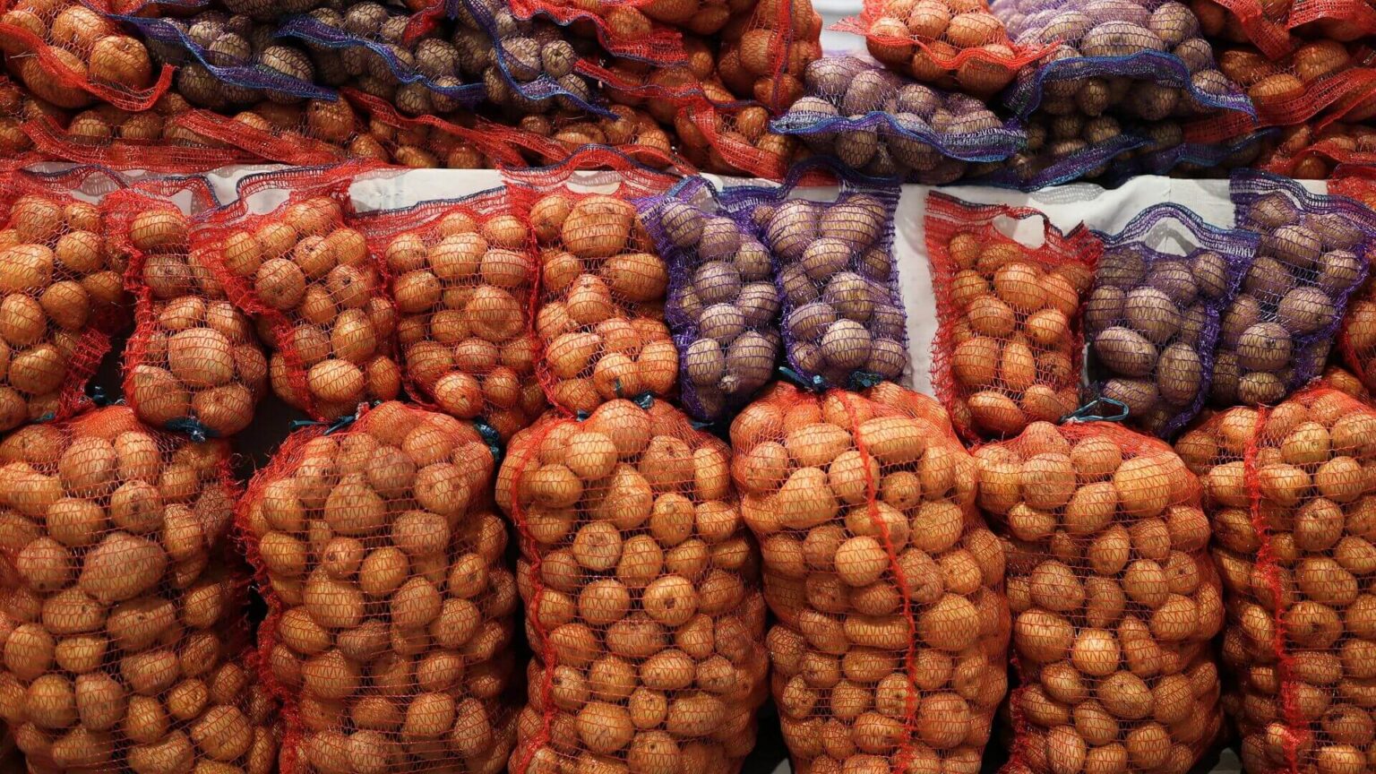 МАРТ: овощи в стабфонды заложены на 96%