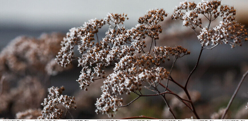 Морозы до −18 °С придут в Беларусь в ближайшие дни