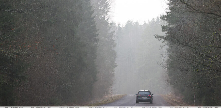 Переменная облачность, на отдельных участках дорог — гололедица. Какой будет погода в Беларуси 24 декабря