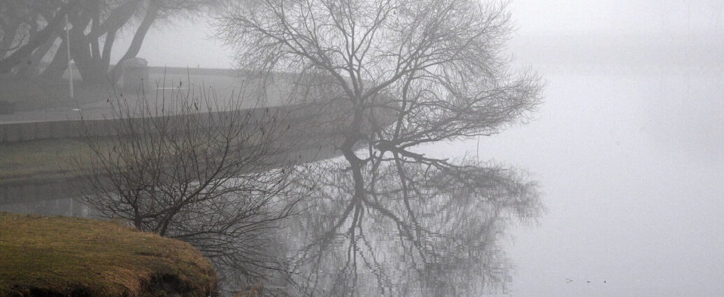 Столбики термометров в пятницу местами поднимутся до +9 °С