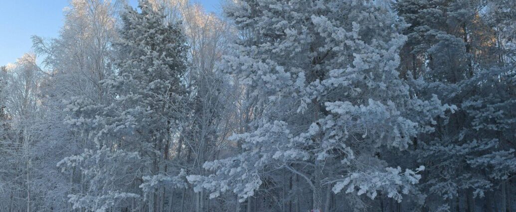 МЧС предупредил о факторах опасности резкого похолодания