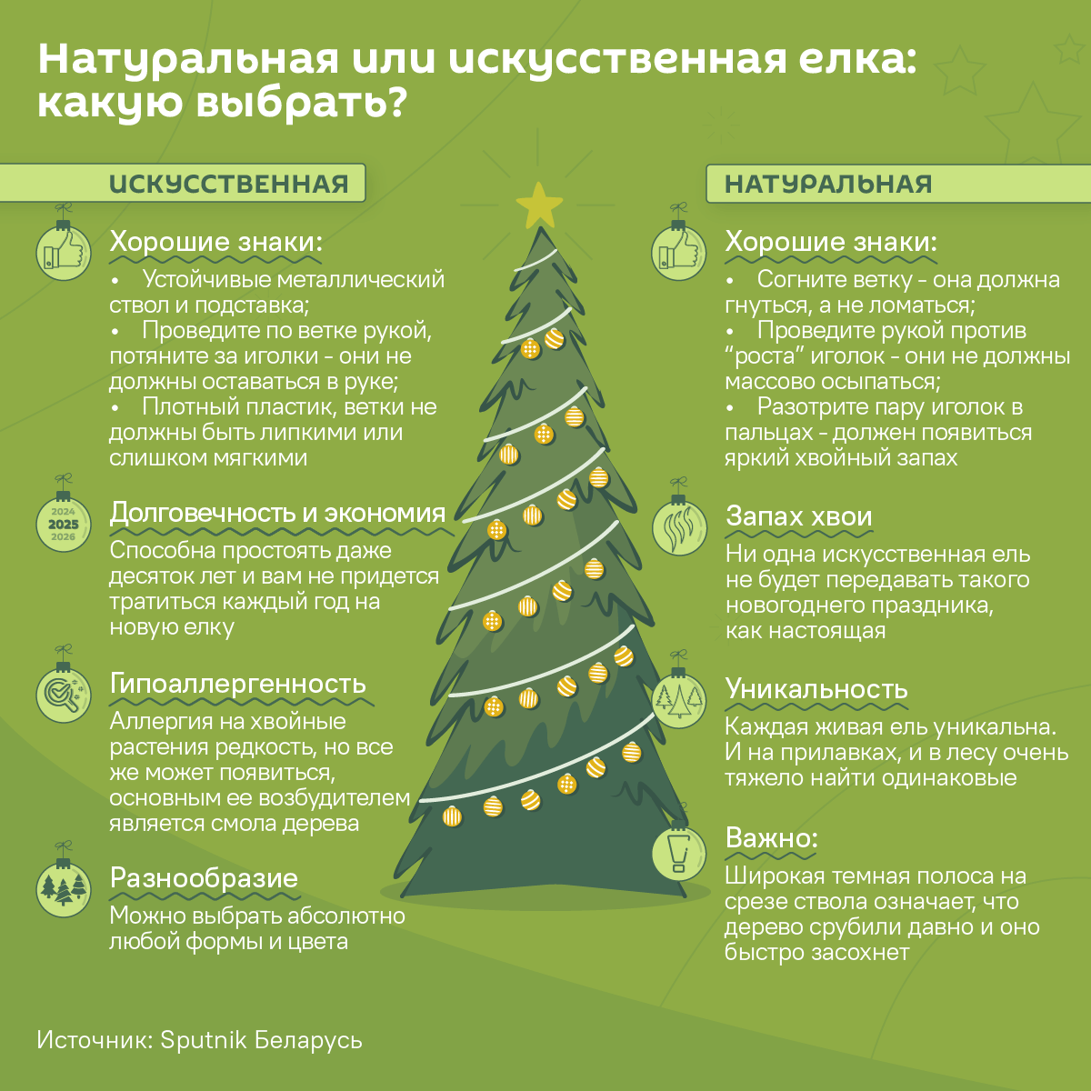 Натуральная или искусственная елка: какую выбрать?