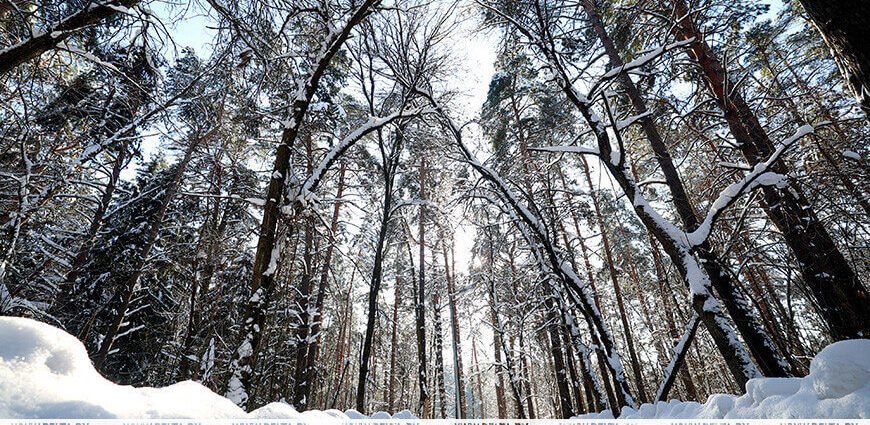 Ждать ли снега 18 февраля? Ответили синоптики