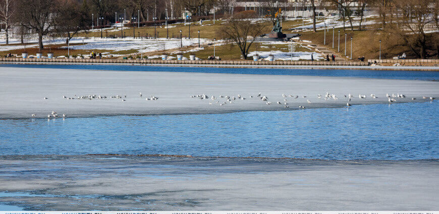 Ждать ли белорусам осадков 9 марта, рассказали синоптики