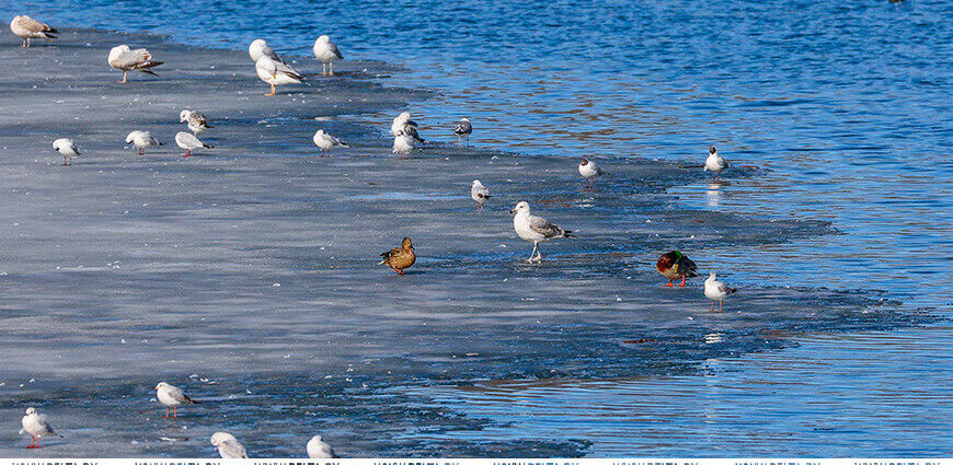 Будет ли теплым субботний день 14 марта? Рассказали синоптики