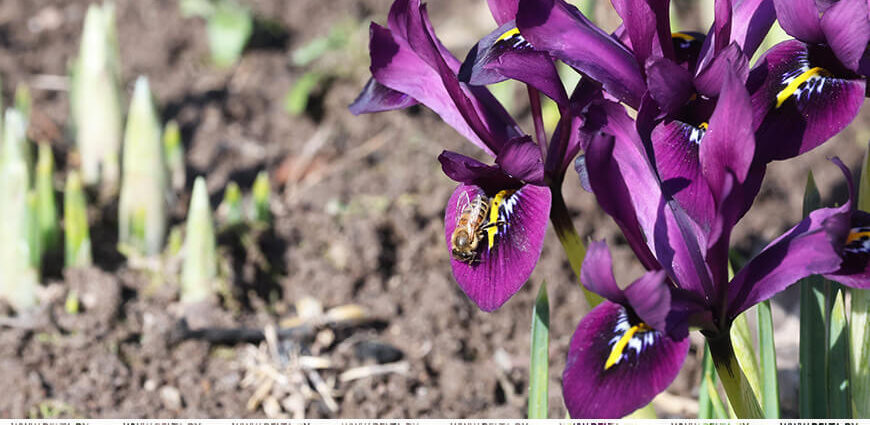 Ждать ли дождей? В Белгидромете рассказали о погоде на текущую неделю
