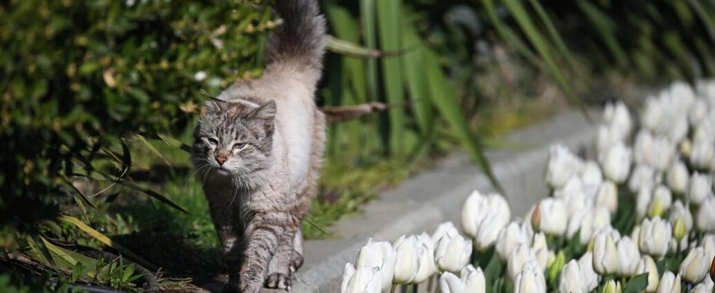 Рябов: апрель в Беларуси будет теплым и в меру дождливым