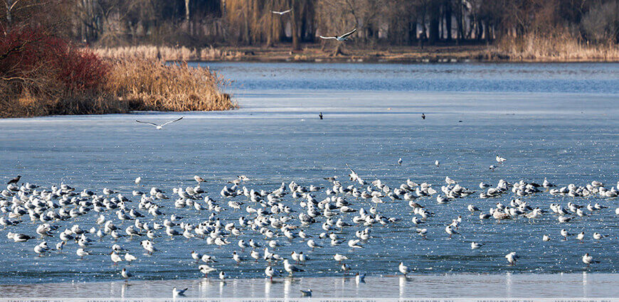 Какая погода ожидает белорусов 9 апреля? Рассказали синоптики