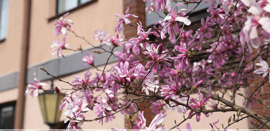 Потеплеет ли в Беларуси на Пасху, рассказали синоптики