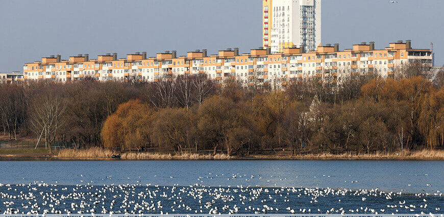 Какой погода будет в Беларуси 13 апреля, рассказали синоптики