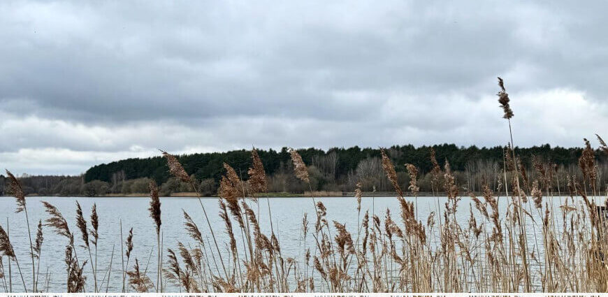 Зонт или солнечные очки? Синоптики дали прогноз погоды в Беларуси на 15 апреля