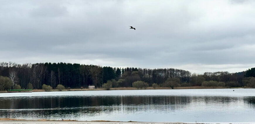 Ждать ли гроз в Беларуси 16 апреля? Прогноз Белгидромета