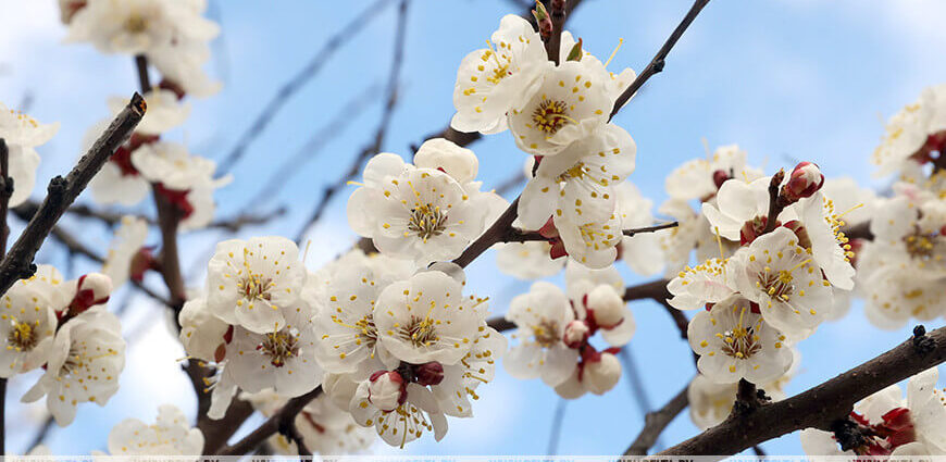 Кому в субботу не обойтись без зонта? Синоптики рассказали о погоде 18 апреля