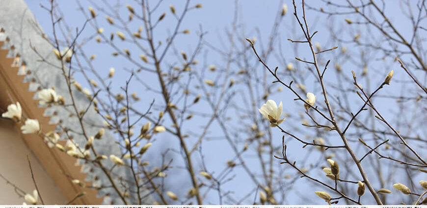 Ждать ли белорусам дождей? Синоптики рассказали о погоде на 20 апреля