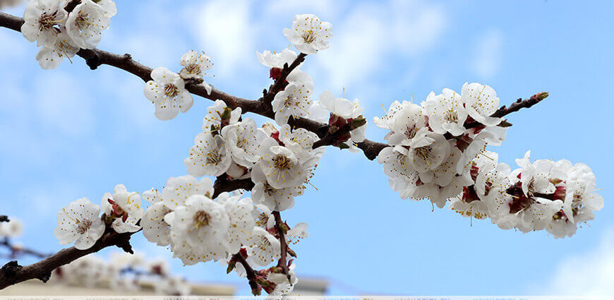 Какой будет погода в первый день после больших выходных, рассказали синоптики