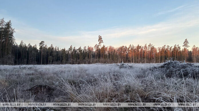 В Беларуси объявлено штормовое предупреждение на 24 апреля из-за заморозков