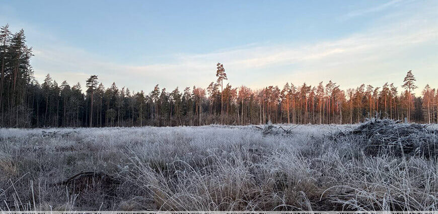 В Беларуси объявлено штормовое предупреждение на 24 апреля из-за заморозков